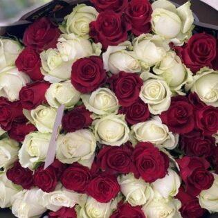 Red and White Rose Bouquet