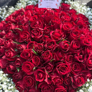 100 Red Roses and Baby's Breath Bouquet
