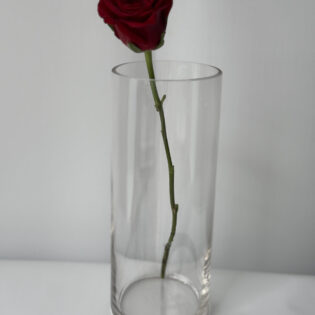 Cylinder Glass Vase